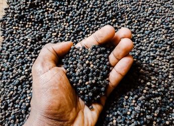 Find Out How Black Pepper Can Improve Heart Health And Boost Immunity
