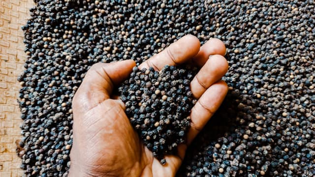 Find Out How Black Pepper Can Improve Heart Health And Boost Immunity
