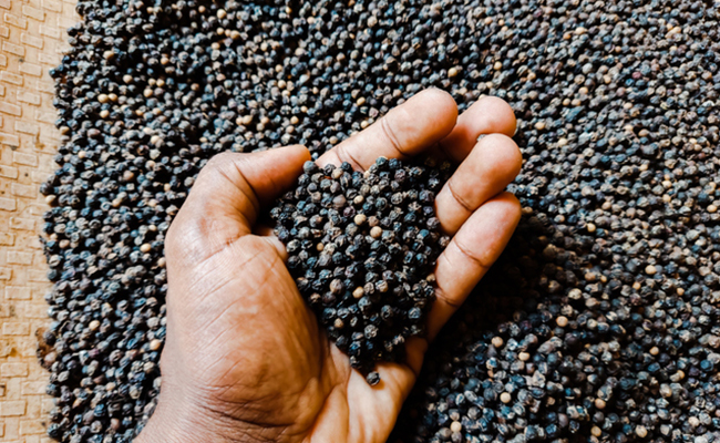 Find Out How Black Pepper Can Improve Heart Health And Boost Immunity