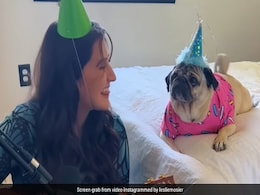 महिला ने अपने कुत्ते के लिए लिखा Birthday Song, फिर गाकर उसे सुनाया, Doggy का रिएक्शन जीत लेगा दिल महिला ने अपने कुत्ते के लिए लिखा Birthday Song, फिर गाकर उसे सुनाया, Doggy का रिएक्शन जीत लेगा दिल