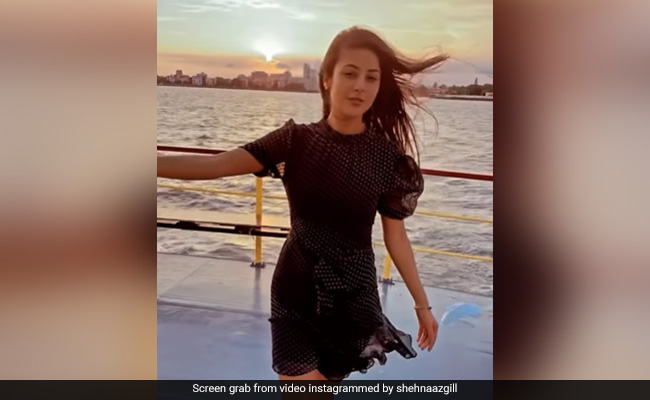 बीच समुद्र यॉट पर शहनाज गिल ने दिखाया अपना खूबसूरत अंदाज, देखकर फैंस बोले-  'मुझे आपके जैसा पार्टनर चाहिए'