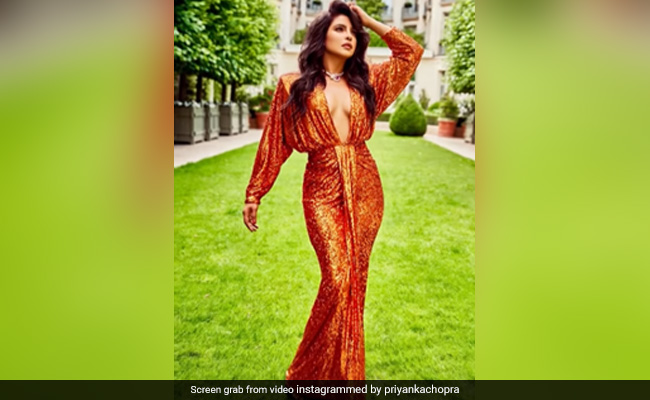 The Internet Is Struck By Priyanka Chopra's Paris Glam. Harnaaz Sandhu And Others Left Comments