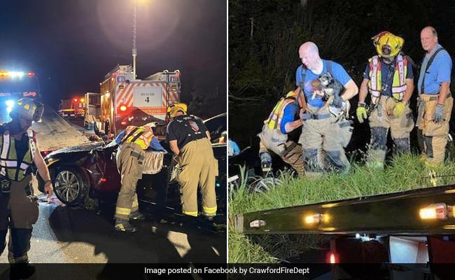 "Real Superheroes": Firefighters In US Rescue Dog Stuck In Submerged Vehicle For 20 Minutes