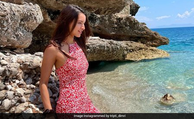 Triptii Dimri's Picture Perfect Entries From The Most Unexpected Destination - Albania