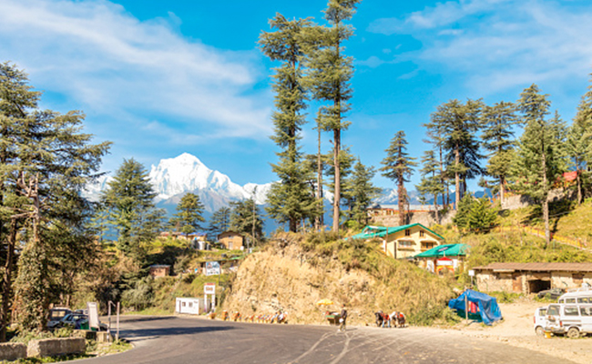 Hill Station: 5 Best Places To Visit In Kufri In Himachal Pradesh