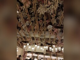 Tingle Your Tastebuds With Myriad Pan-Asian Flavours At Pa Pa Ya