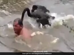 तालाब में नहा रहा था शख्स, पीछे से आया हंस और चोंच मार-मारकर किया बेहाल, फिर जो हुआ...देख रह जाएंगे दंग तालाब में नहा रहा था शख्स, पीछे से आया हंस और चोंच मार-मारकर किया बेहाल, फिर जो हुआ...देख रह जाएंगे दंग