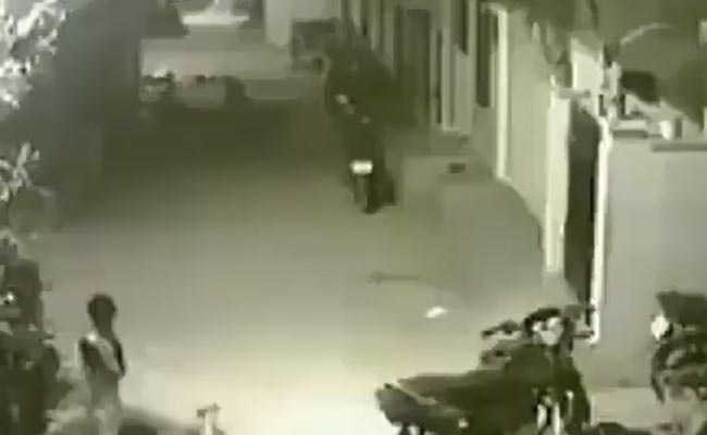 बहन को बचाने के लिए कुत्ते से भिड़ गया ये बच्चा, लोग कह रहे हैं- भाई हो तो बिल्कुल ऐसा ही हो