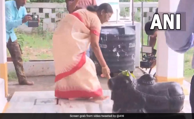 NDA की राष्ट्रपति पद की उम्मीदवार द्रौपदी मुर्मू ने मंदिर में लगाया झाड़ू, देखें वीडियो