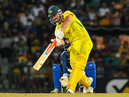 Australia vs New Zealand: Marcus Stoinis, David Warner Out Of 3rd ODI