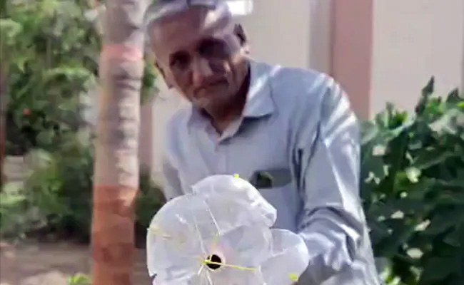 आनंद महिंद्रा ने शेयर किया जुगाड़ वाला वीडियो, इसकी मदद से फल को आसानी से तोड़ा जा सकता है