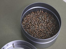 Weight Loss में भी असरदार हैं भांग के बीज, सेहत को मिलते हैं इन Hemp Seeds के और भी कई फायदे, जानें यहां Weight Loss में भी असरदार हैं भांग के बीज, सेहत को मिलते हैं इन Hemp Seeds के और भी कई फायदे, जानें यहां