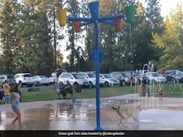 फव्वारे के नीचे कूद-कूदकर खेल कर रहा था कुत्ता, डॉगी की मस्ती देख हंस पड़ेंगे आप, कहेंगे ये होती है Best Life फव्वारे के नीचे कूद-कूदकर खेल कर रहा था कुत्ता, डॉगी की मस्ती देख हंस पड़ेंगे आप, कहेंगे ये होती है Best Life