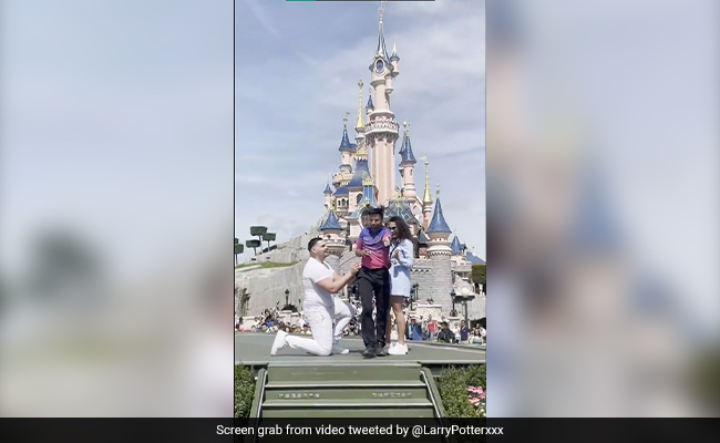 Viral Video: Disneyland Employee Interrupts Marriage Proposal