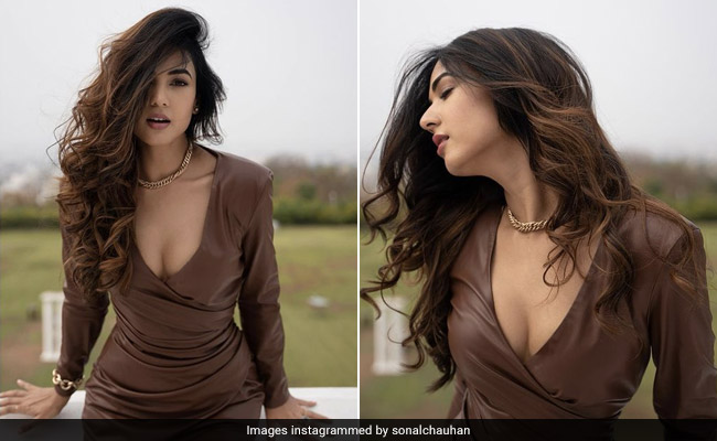 It's So Easy To Ditch A Bar Of Chocolate For Sonal Chauhan's Decadent Brown Dress