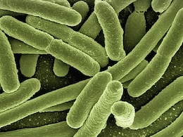 चीन में फैली अनजान बीमारी से राजस्थान में अलर्ट, एयरपोर्ट पर होगी टेस्टिंग, किए जाएंगे क्वॉरेंटाइन 