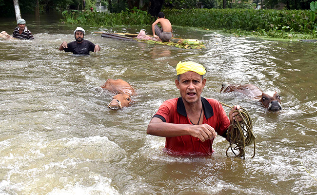 More Rain In Assam, Meghalaya Tomorrow, Orange Alert Issued: 10 Facts