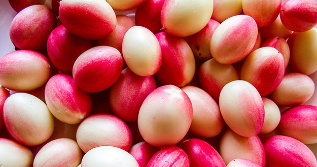 Why Karondas Should Be Added To Your Diet: Explains Nutritionist Lovneet Batra