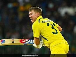 Ganesh Chaturthi 2022, Ganesh Festival: David Warner Wishes Fans On Ganesh Chaturthi. See Pic