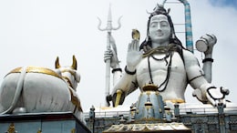 Hariyali Amavasya 2024: सावन में किस दिन पड़ रही है हरियाली अमावस्या, सही तारीख, शुभ मुहूर्त, जानिए यहां
