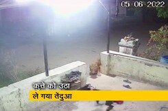 महाराष्ट्र: तेंदुए ने पालतू कुत्ते पर किया हमला, कैमरे में कैद हुई घटना  महाराष्ट्र: तेंदुए ने पालतू कुत्ते पर किया हमला, कैमरे में कैद हुई घटना