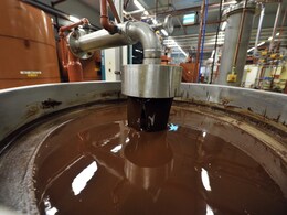 Salmonella Bacteria Found In Belgian Chocolate Plant, World's Biggest
