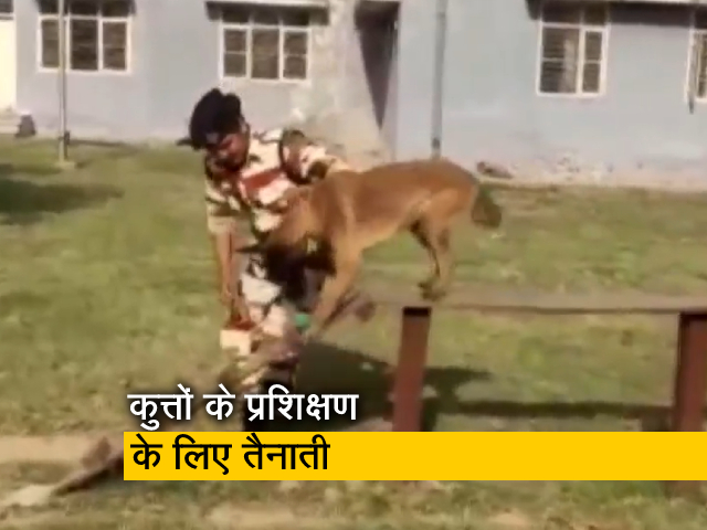 आईटीबीपी ने कुत्तों के प्रशिक्षण के लिए पंचकूला में महिलाकर्मियों को तैनात किया