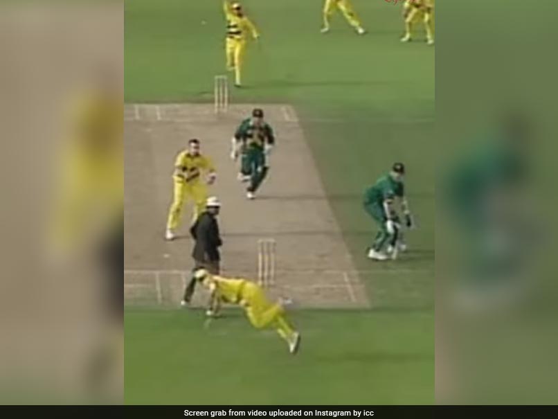 Watch: The Moment When Lance Klusener And Allan Donald Committed World Cup Hara-Kiri