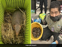 Indian Women With 109 Live Animals In Their Luggage Arrested At Bangkok Airport Indian Women With 109 Live Animals In Their Luggage Arrested At Bangkok Airport