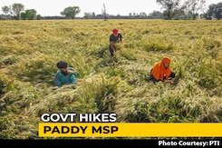 As Sop To Paddy Farmers, Government Hikes Minimum Support Price As Sop To Paddy Farmers, Government Hikes Minimum Support Price