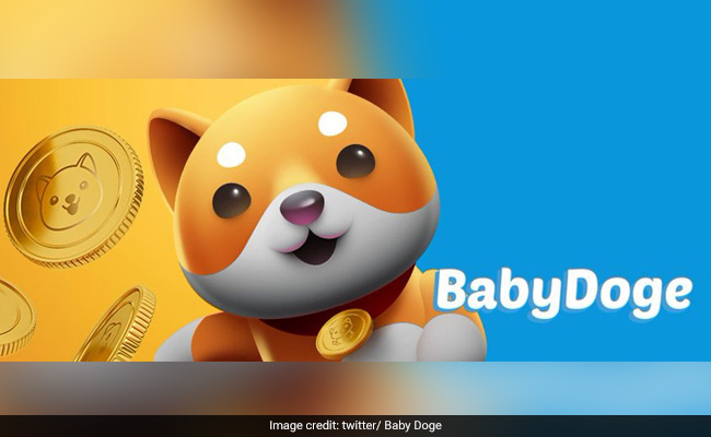 Poloniex ने BabyDogeCoin को प्लेटफॉर्म पर किया लिस्ट