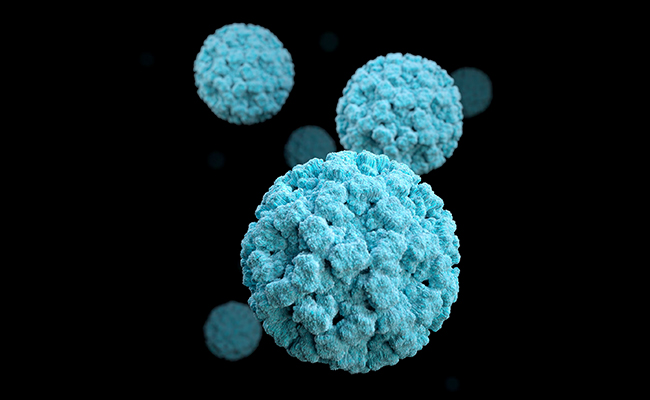 What Is Norovirus And How It Spreads? All You Need To Know