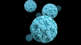 Norovirus Surge In US: Here's Everything You Must Know