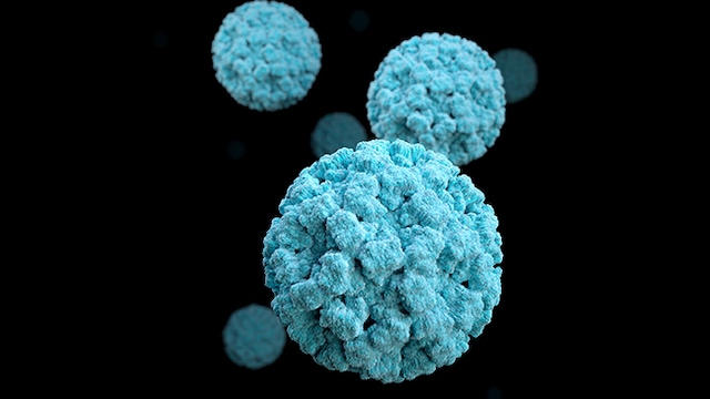 Learn about the signs, transmission, and prevention of norovirus to stay vigilant