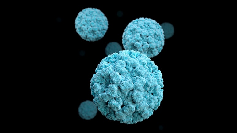 Norovirus Infects Over 100 Students At South China School