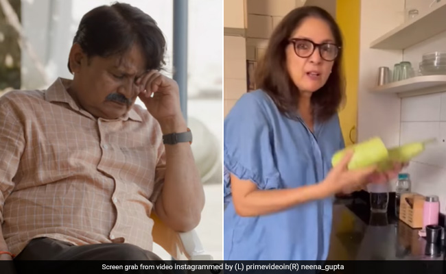 Panchayat 2 की 'मंजू देवी' ने 'प्रधानजी' के लिए बनाया लौकी का भरता, फैंस बोले- 'प्रधानजी तो देखकर खुश हो जाएंगे'