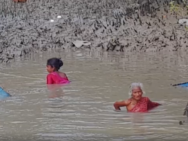 सुंदरबन में बढ़ता मानव-बाघ संघर्ष और इससे कैसे निपटा जा रहा है