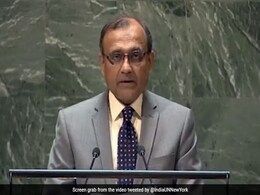 UN Adopts Resolution On Multilingualism, Mentions Hindi For First Time UN Adopts Resolution On Multilingualism, Mentions Hindi For First Time
