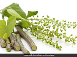 स्किन को ग्लोइंग और जवां बनाएं रखने के लिए इस तरह से करें गिलोय का इस्तेमाल, शीशे की तरह चमकेगी स्किन स्किन को ग्लोइंग और जवां बनाएं रखने के लिए इस तरह से करें गिलोय का इस्तेमाल, शीशे की तरह चमकेगी स्किन