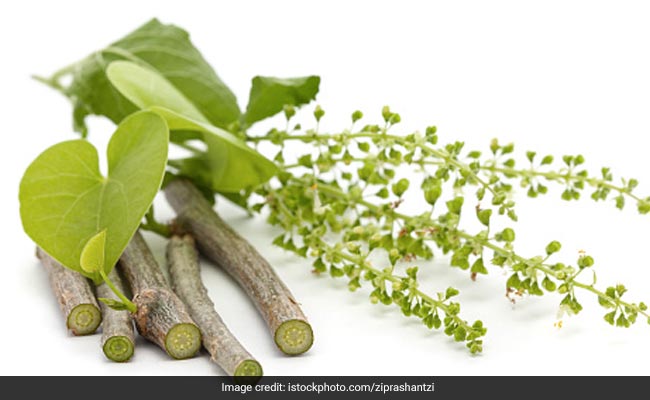Giloy can help boost immunity, reduce the risk of infections and control inflammation