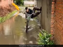 सड़क पर भरे पानी में जूतों को भीगने से बचाने के लिए शख्स ने किया स्टंट, लोग बोले- निंजा बनने से अच्छा साइकिल चला लेता सड़क पर भरे पानी में जूतों को भीगने से बचाने के लिए शख्स ने किया स्टंट, लोग बोले- निंजा बनने से अच्छा साइकिल चला लेता