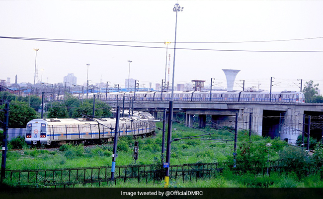 44,000 Trees Felled, 8,000 Transplanted Since Delhi Metro's 1998 Phase 1