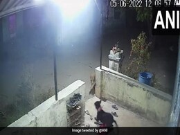 घर के बाहर बैठा था कुत्ता, अचानक तेंदुए ने कर दिया हमला, मुंह में दबोचकर किया बुरा हाल, कमज़ोर दिल वाले न देखें Video घर के बाहर बैठा था कुत्ता, अचानक तेंदुए ने कर दिया हमला, मुंह में दबोचकर किया बुरा हाल, कमज़ोर दिल वाले न देखें Video