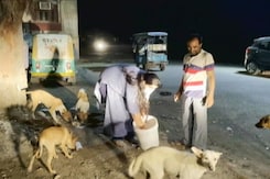 This Animal Rescuer Feeds 400 Stray Dogs Every Day This Animal Rescuer Feeds 400 Stray Dogs Every Day