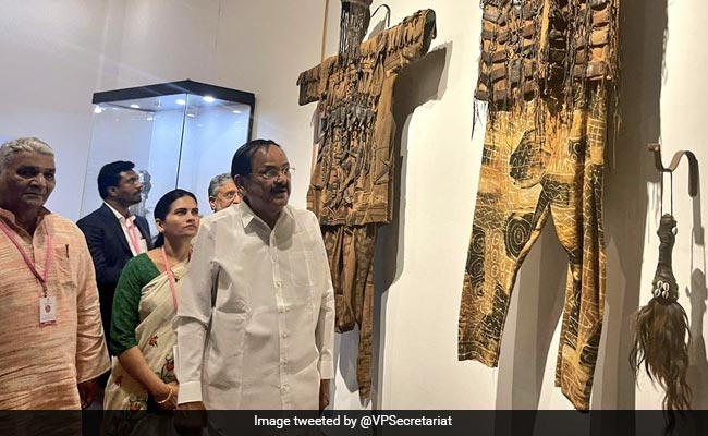 Watch: Vice President's Tribute To Mahatma Gandhi At Monument In Africa