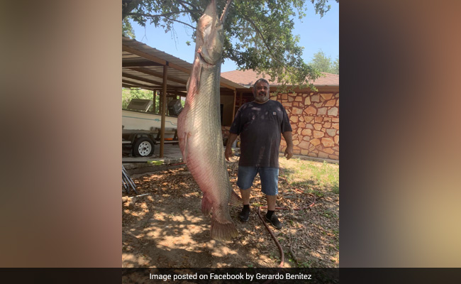 US Fisherman Catches Giant Alligator Gar With Bow And Arrow, Internet Calls It A "Clown Move"
