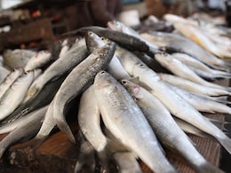'Don't Eat Fish Caught From Floodwaters': Bihar On Alert After Nepal Tragedy