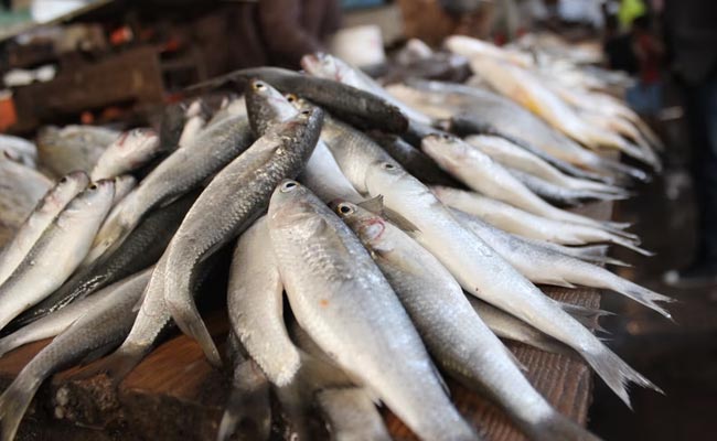 'Don't Eat Fish Caught From Floodwaters': Bihar On Alert After Nepal Tragedy