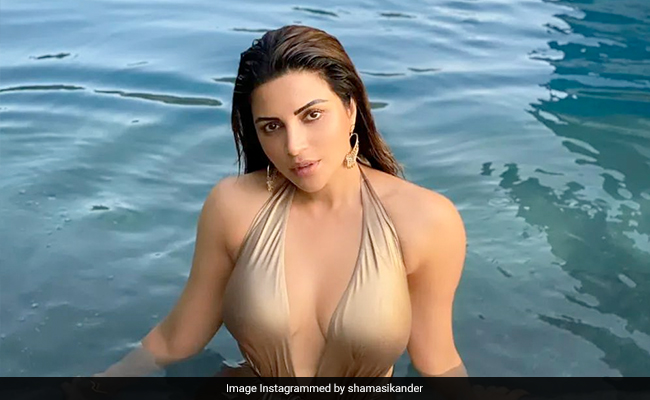We Can't Certainly Compete With Shama Sikander's Golden "Saturdaze"