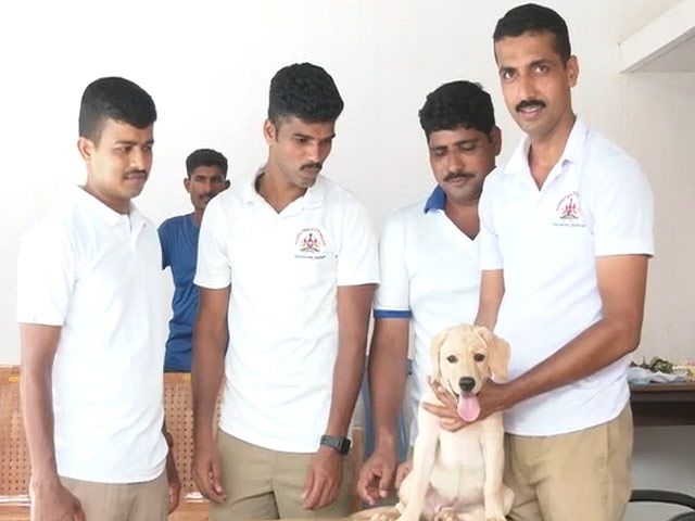 3 Month Old "Charlie" Joins Mangaluru Police Dog Squad